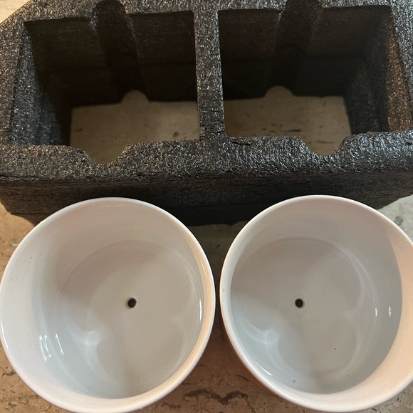 Super Cute and Funny Succulent Planters - Picture 3 of 5